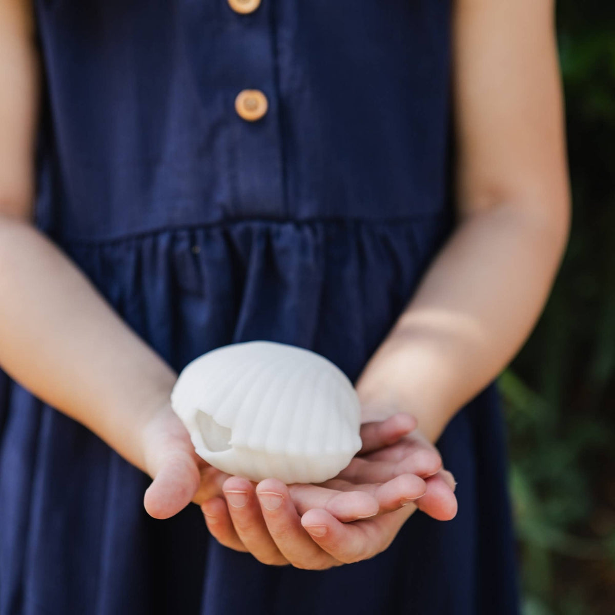 Seaside Clamshell Squeeze Squishy