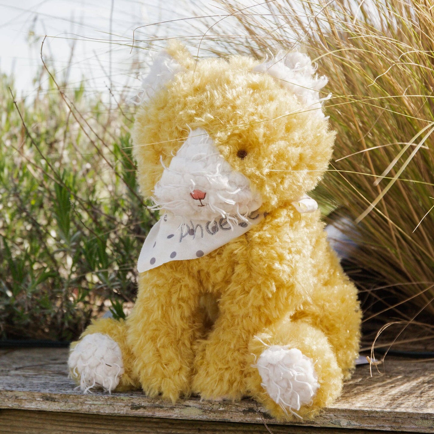 Yellow Alley Cat